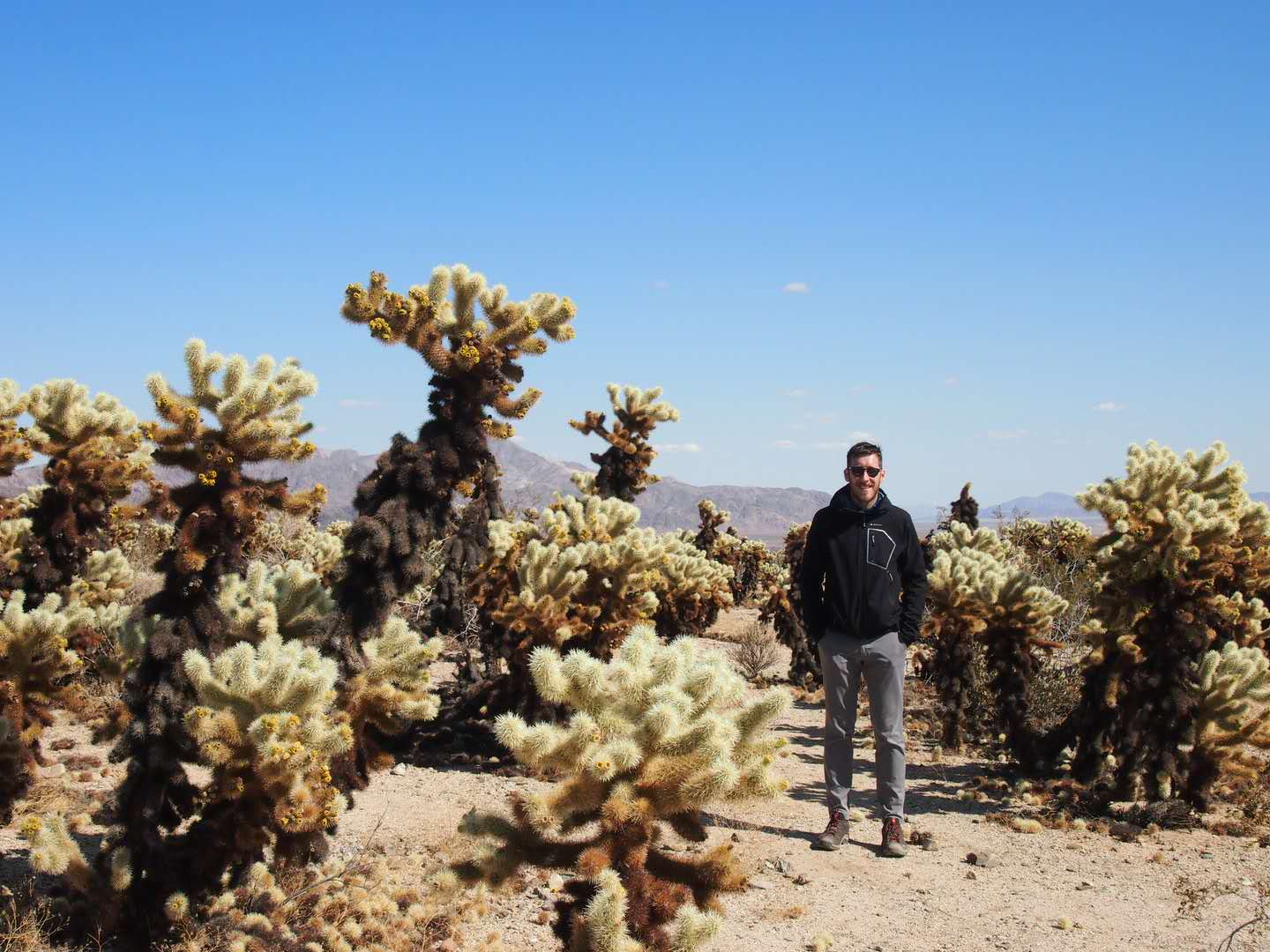 Scott Mallinson standing in a southern California desert surrounded by cacti